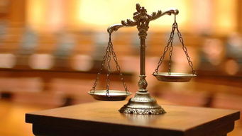 從法律視角看球鞋的投資屬性及銷售策略分析